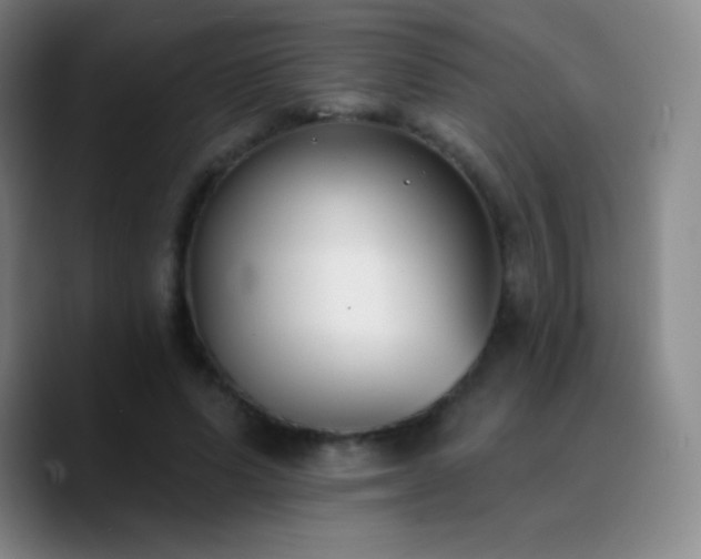 X0000090750591200707201451