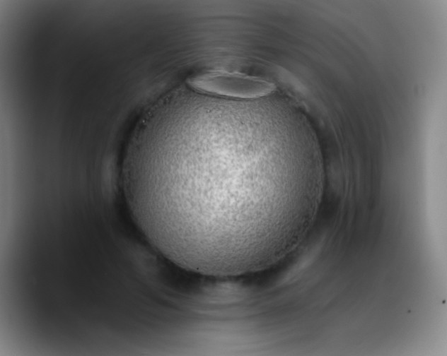 X0000090750594200707201451