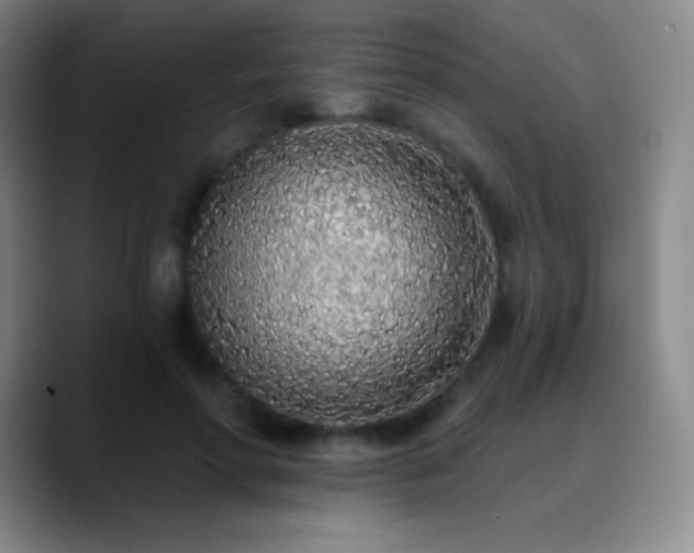X0000090750598200707201451
