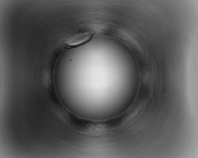 X0000090750599200707201451
