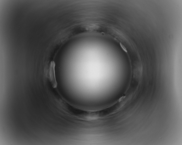 X0000090750604200707201451