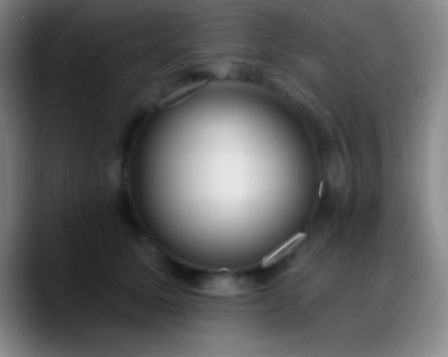 X0000090750611200707201451