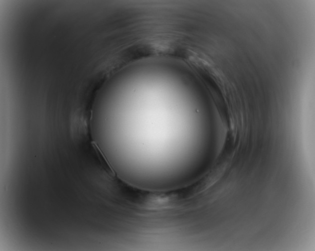 X0000090750613200707201451