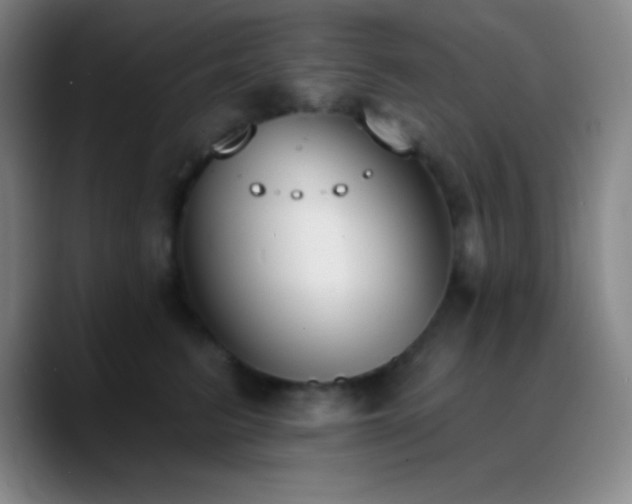 X0000090750615200707201451