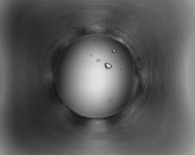 X0000090750617200707201451