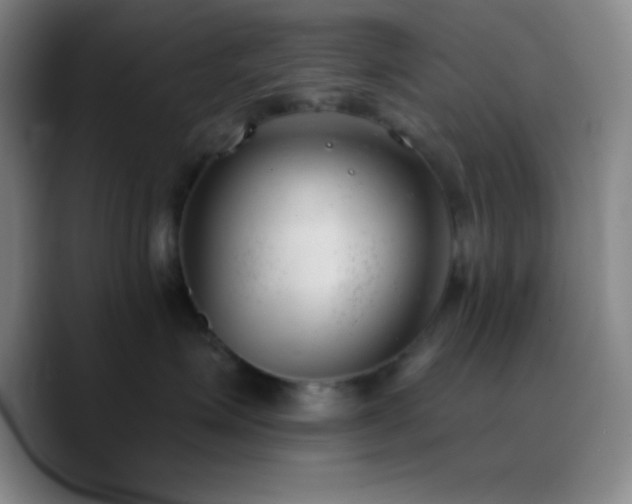 X0000090750623200707201451