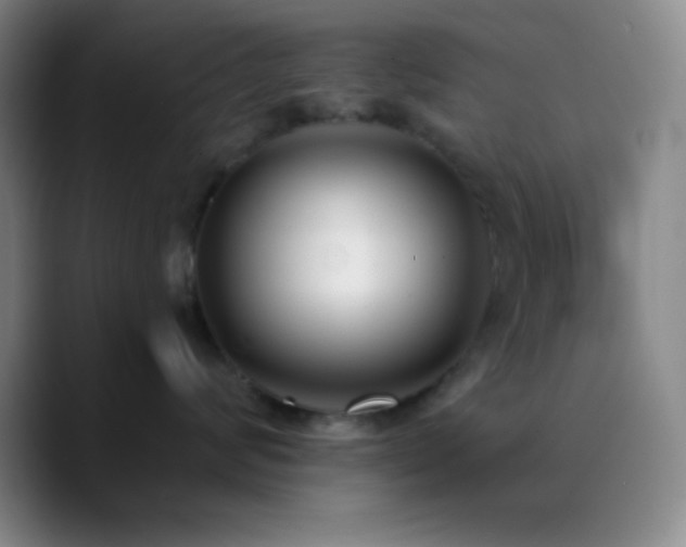 X0000090750624200707201451