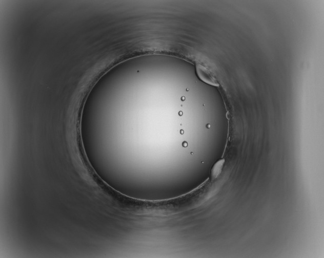X0000090750625200707201450