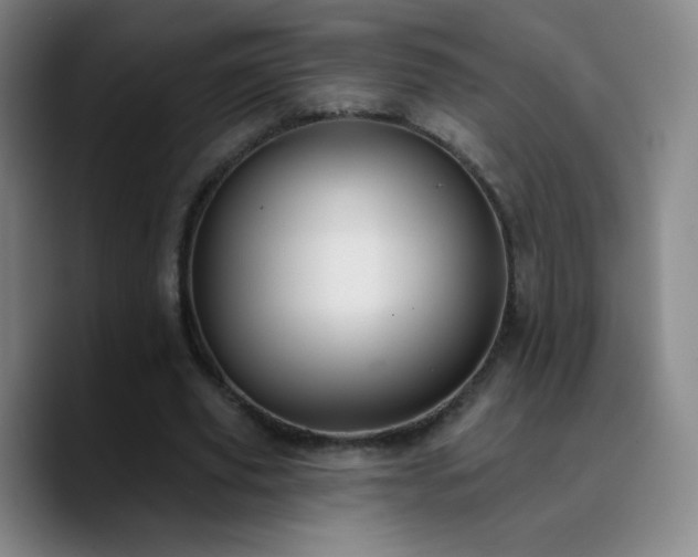 X0000090750629200707201450