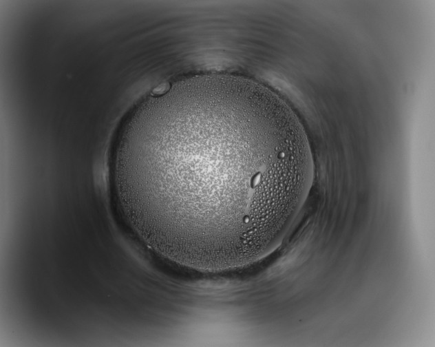 X0000090750630200707201450