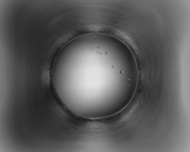 X0000090750633200707201450