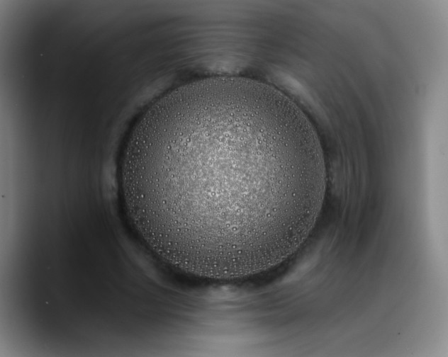 X0000090750634200707201450