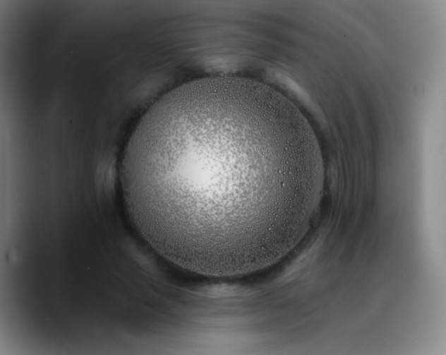 X0000090750637200707201450