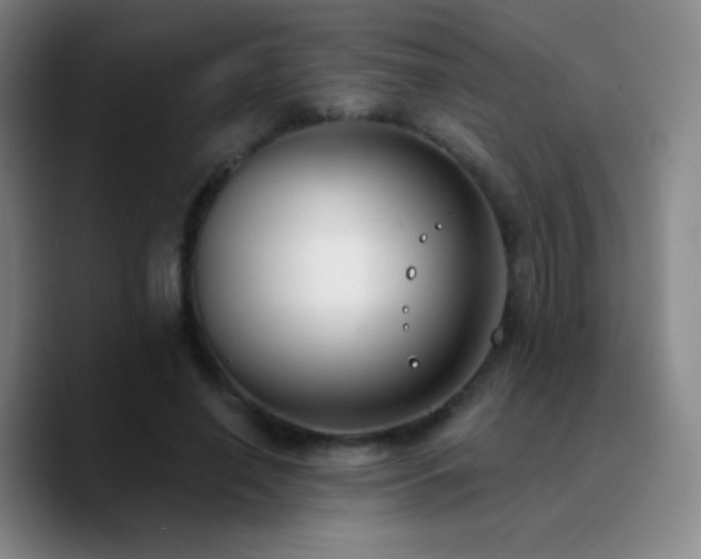 X0000090750638200707201450