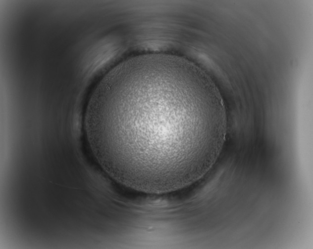 X0000090750640200707201450