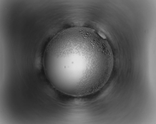 X0000090750641200707201450