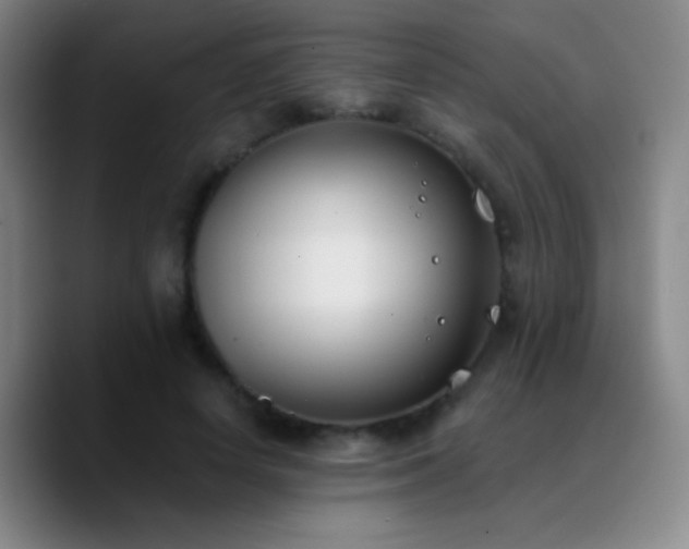 X0000090750642200707201450