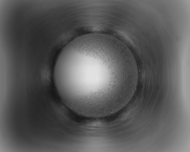 X0000090750643200707201450