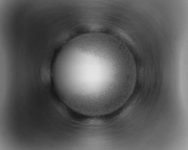 X0000090750644200707201450