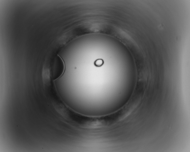 X0000090750646200707201450
