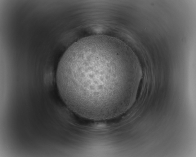 X0000090750651200707201450