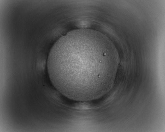 X0000090750652200707201450