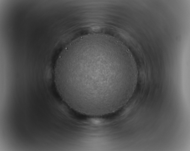 X0000090750654200707201450