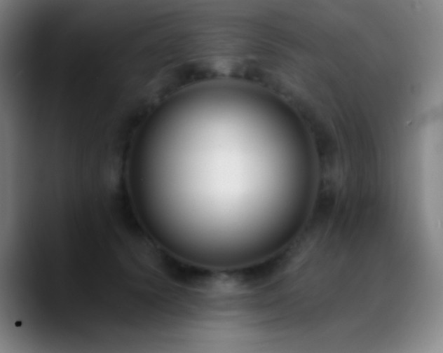 X0000090750656200707201450
