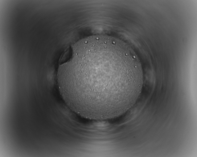 X0000090750659200707201450