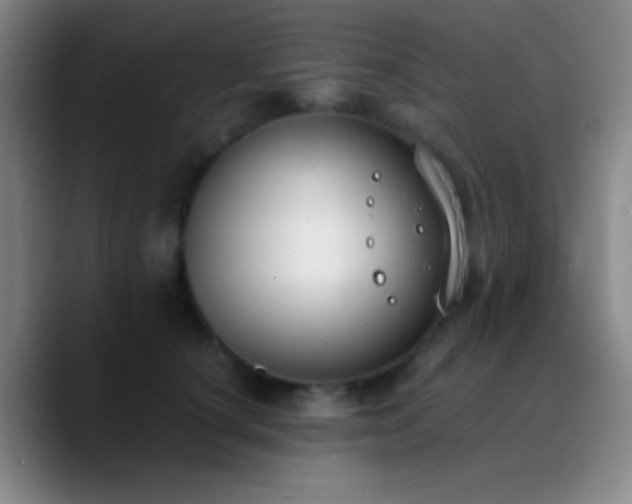 X0000090750660200707201450