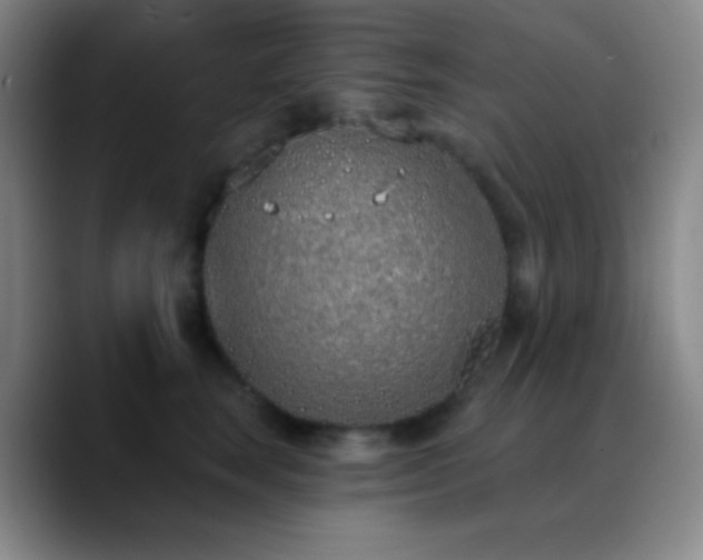 X0000090750663200707201450