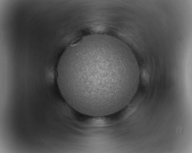 X0000090750668200707201450
