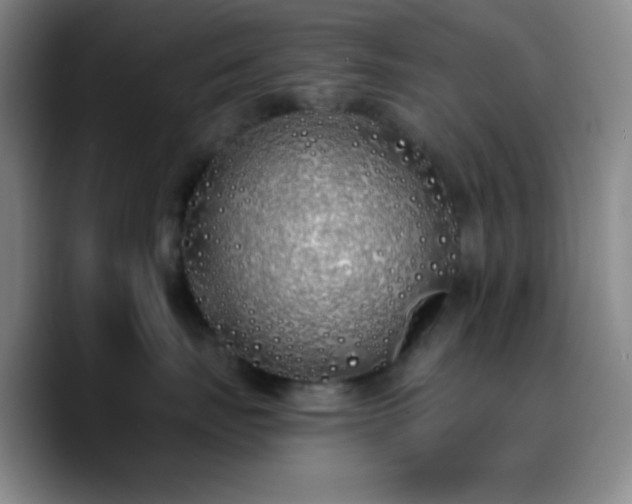X0000090750671200707201450