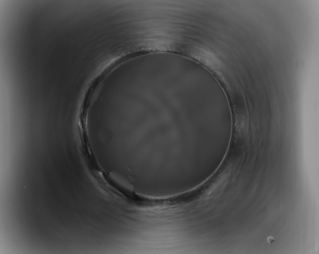 X0000090750674200707201450