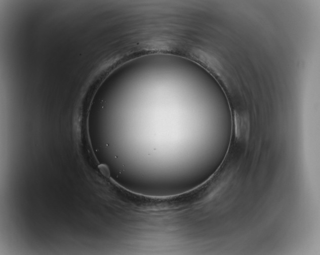 X0000090750675200707201450