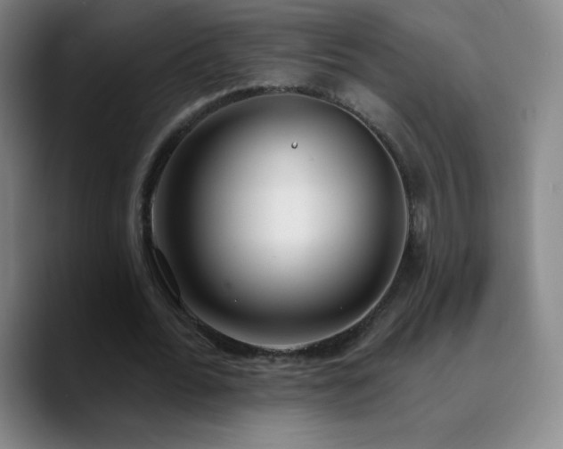 X0000090750676200707201450
