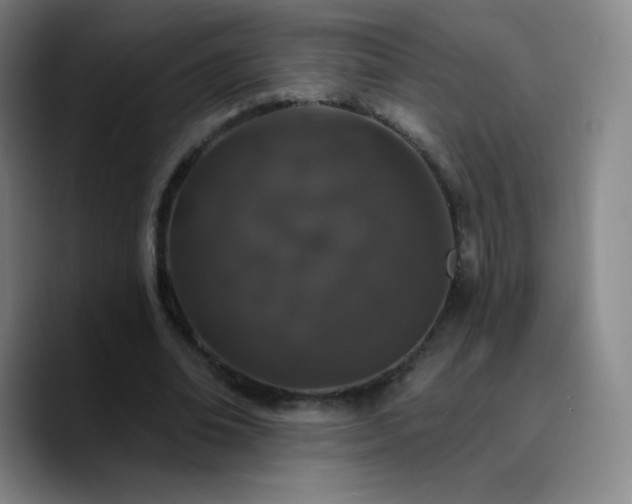 X0000090750678200707201450