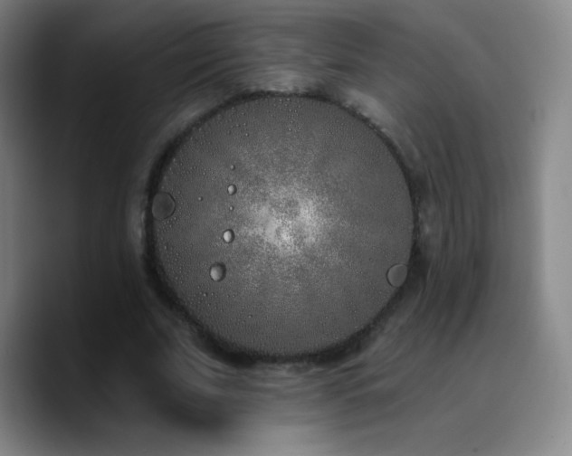 X0000090750679200707201450