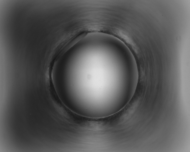 X0000090750681200707201450