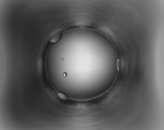 X0000090750684200707201450