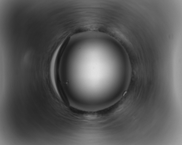 X0000090750693200707201450