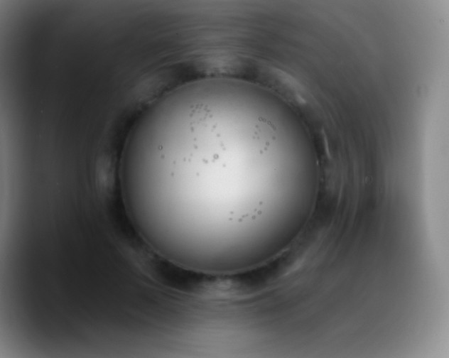X0000090750695200707201450