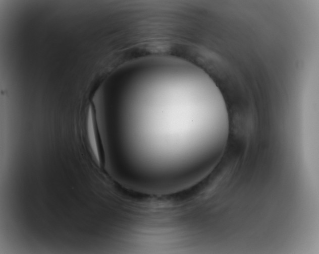 X0000090750697200707201450