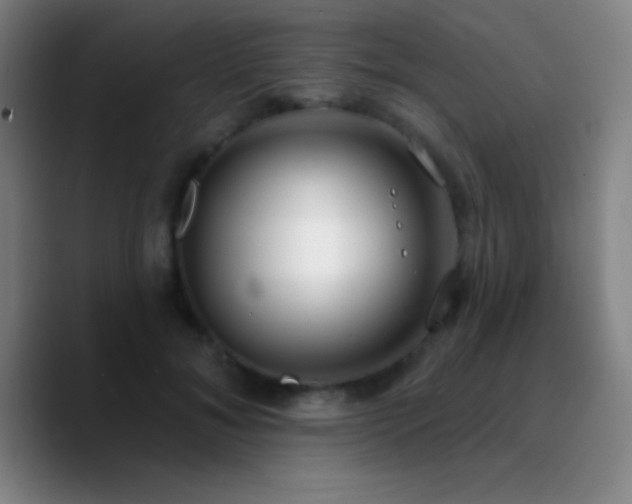 X0000090750700200707201450