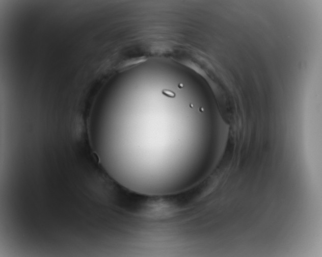 X0000090750704200707201449