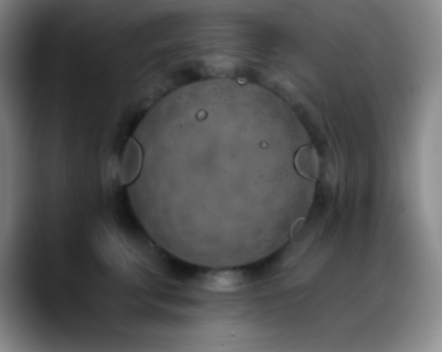 X0000090750711200707201449
