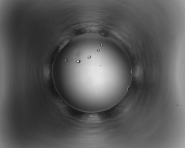 X0000090750715200707201449