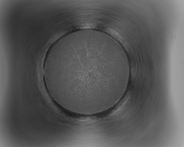 X0000090750721200707201449