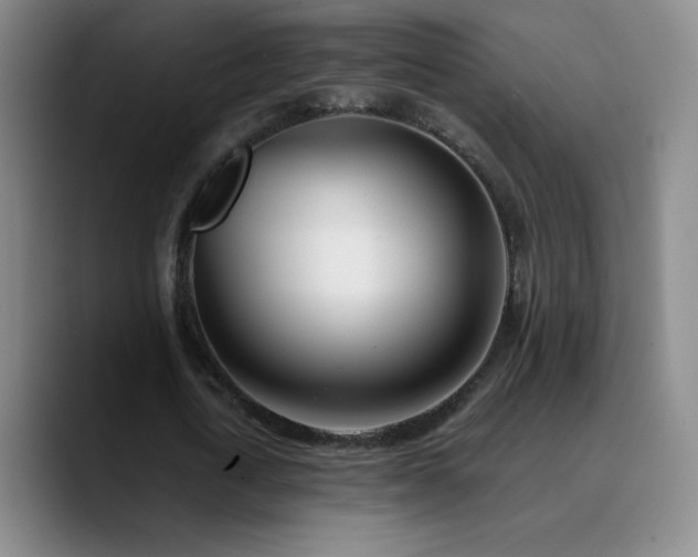 X0000090750722200707201449