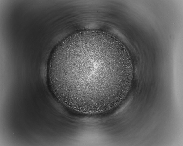 X0000090750725200707201449